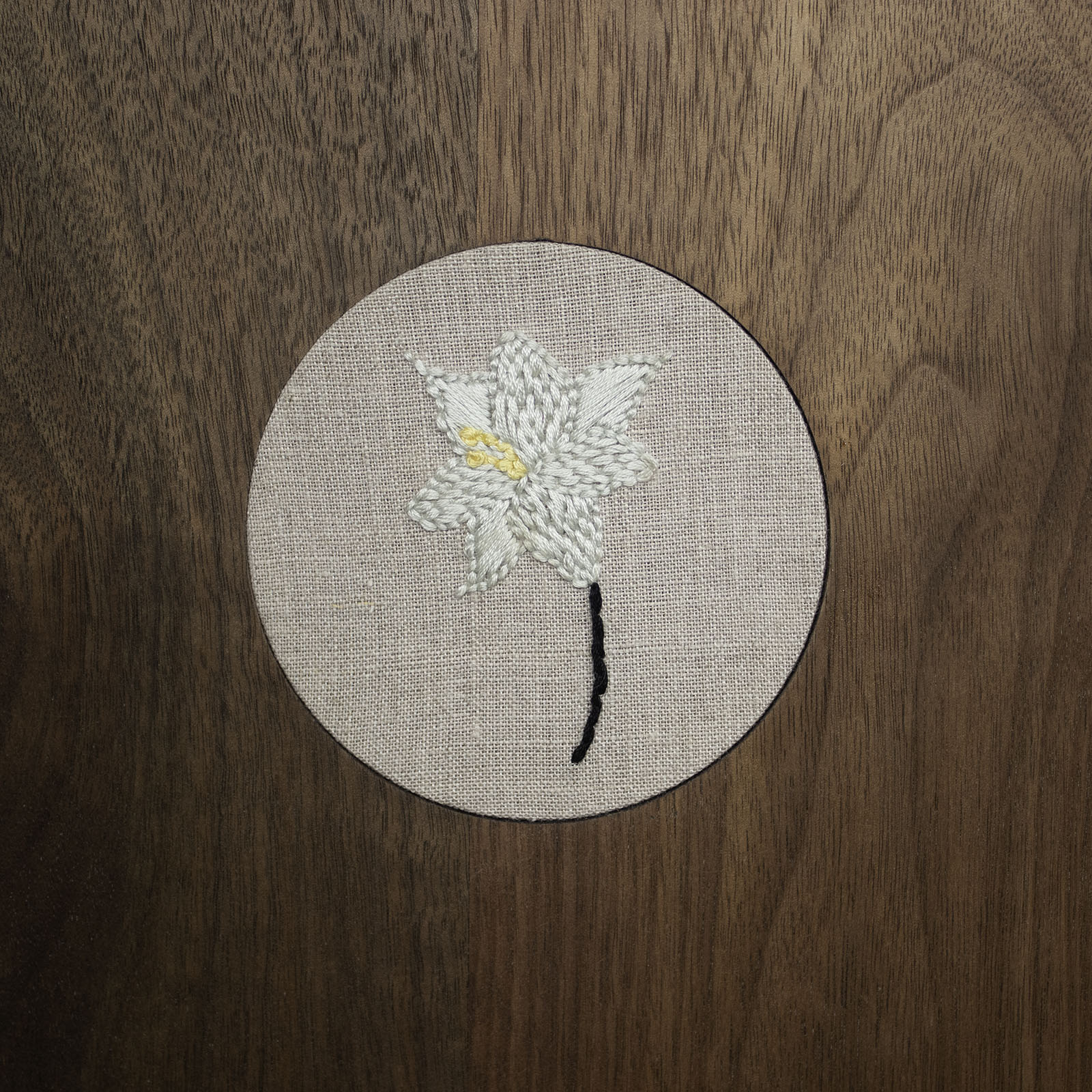 Flower, Hand, Piggy, Flower 3